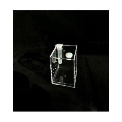 *+55X55X55mm 亚克力大中饲养盒高透跳蛛鸣虫昆虫螳螂甲虫宠物蜘蛛小号尺寸