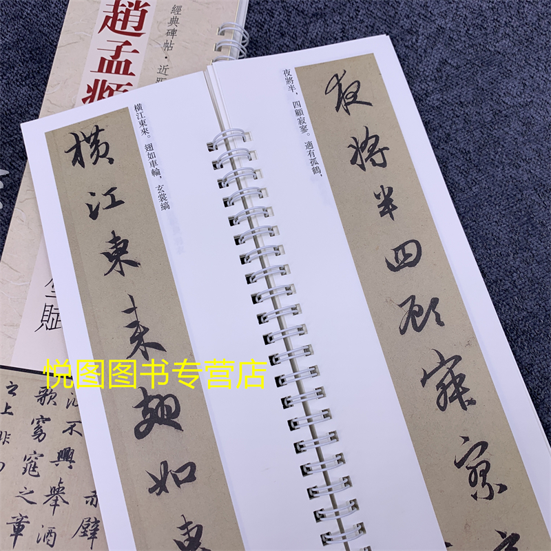 [正版]赵孟頫行书赤壁赋 经典碑帖近距离临帖练习字卡 弘蕴轩编 赵孟俯行书字帖 全文无删减 赵体毛笔书法碑帖 学生成人临高清大图