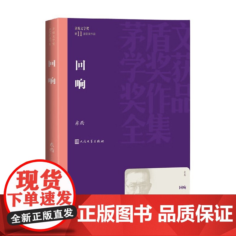 回响 东西 著 小说高清大图