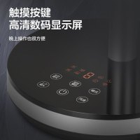 格力(GREE)循环扇FSZ-20X60Bg3家用落地扇空气涡轮对流扇广角送风电风扇