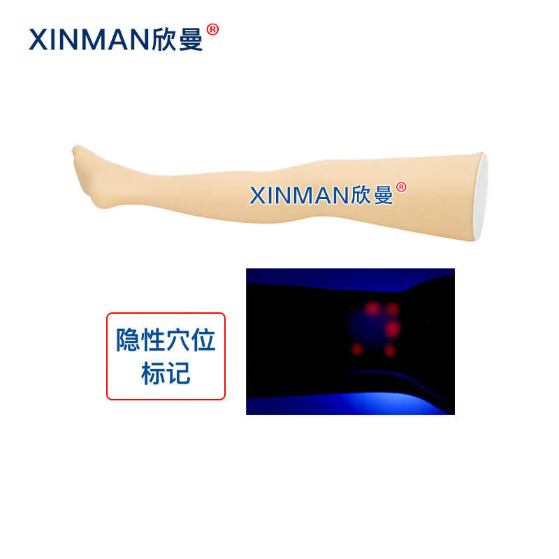 欣曼科教 针灸腿部训练模型 腿部针灸针刺扎针练习模型XM-ZC04高清大图