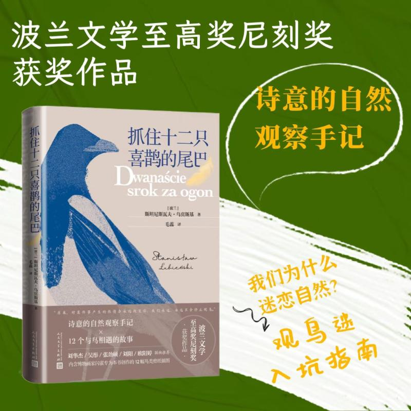 醉染图书抓住十二只喜鹊的尾巴9787020177875高清大图