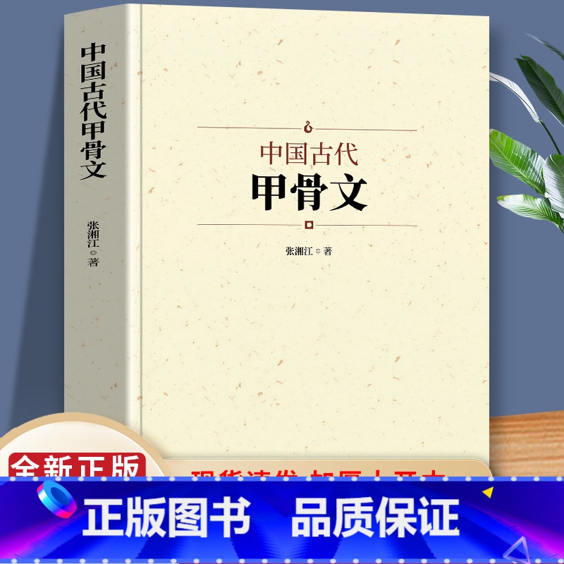 中国古代甲骨文 【正版】中国古代甲骨文 领略古文字风采 国学历史文字 历史古文字商 甲骨文中国文化大厚本 文字解说