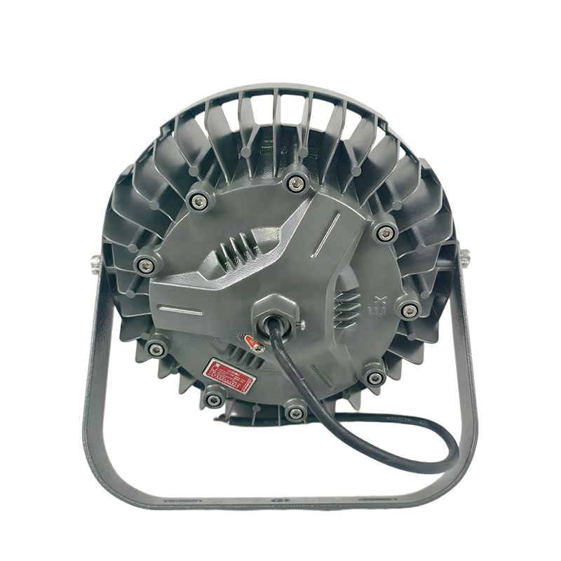 OHUIZAOMIN LED防爆灯 OHBF8236-100W(含安装) 个高清大图