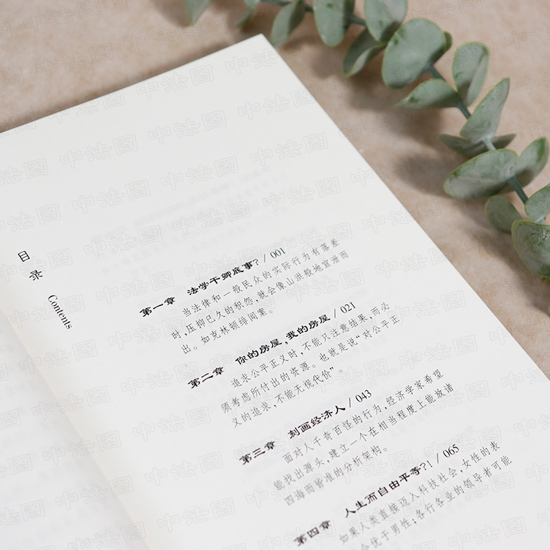 [正版]中法图 正义的成本 当法律遇上经济学 贺卫方作序 熊秉元 东方出版社 法律经济学 法学经济学 经济分析经济学效高清大图