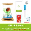 鱼缸创意桌面小型透明玻璃斗鱼缸迷你精致懒人造景家用生态瓶_1 默认尺寸 懒人套餐3