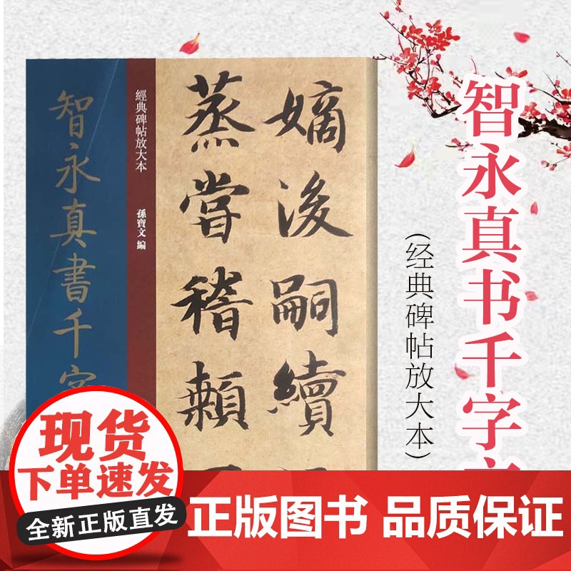 智永真书千字文 经典碑帖放大本 王羲之七世孙字帖 篆刻碑帖 书法字帖 上海人民美术出版社高清大图
