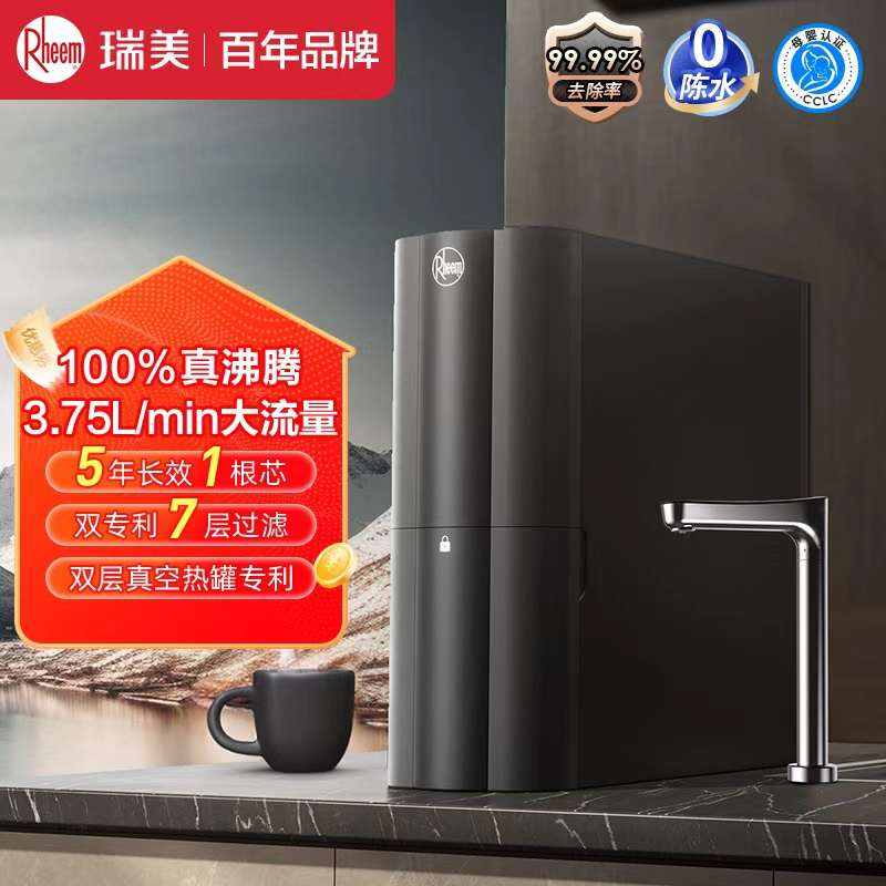 美国百年品牌 瑞美净热一体机RWRH-2500G1高清大图