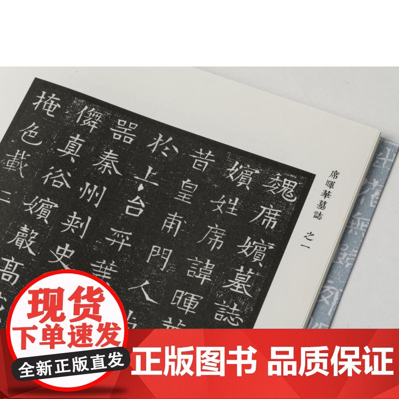 隋代墓志精粹二席晖华吕琼华史崇基辛偘柳敬言于懿窦彦包恺 本社编上海书画出版社精选书法资料鉴赏高清大图