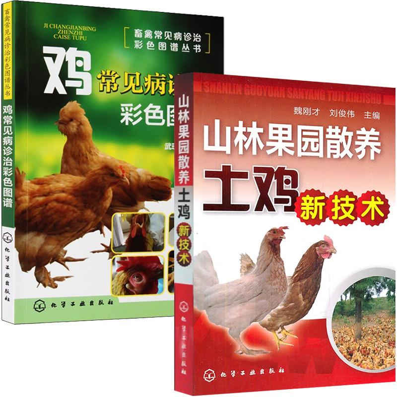 [正版]山林果园散养土鸡新技术+鸡常见病诊治彩色图谱 养鸡技术书及用药散养鸡饲料手册鸡病鉴别诊断图谱大全蛋鸡肉鸡高效养高清大图
