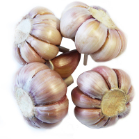金乡 新鲜干蒜紫皮多瓣大蒜头 2.5kg