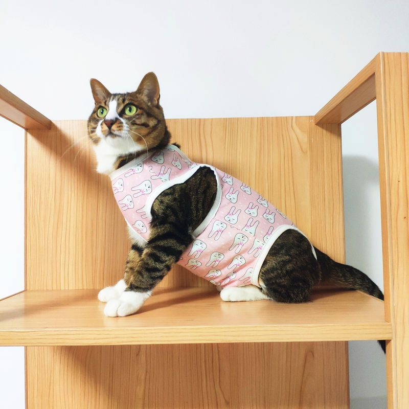猫咪衣服母猫绝育衣服手术服断奶服柔软薄款四脚衣服猫咪防舔防咬 粉兔兔 S-4斤左右