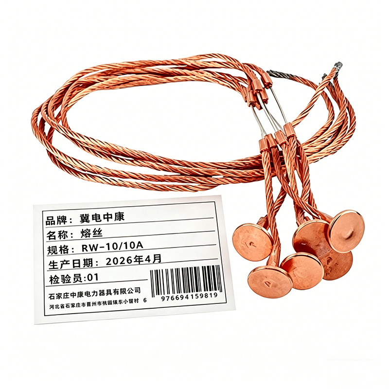 冀电中康 熔丝 RW-10/10A 根高清大图