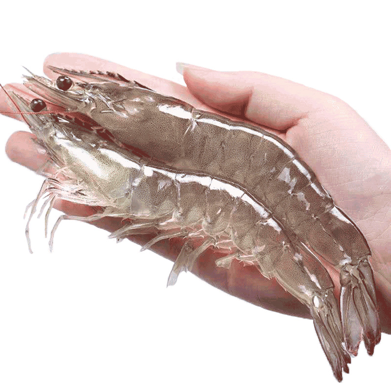 海捕大虾 净重400g南美 白虾海产冷冻虾 九善食 参数