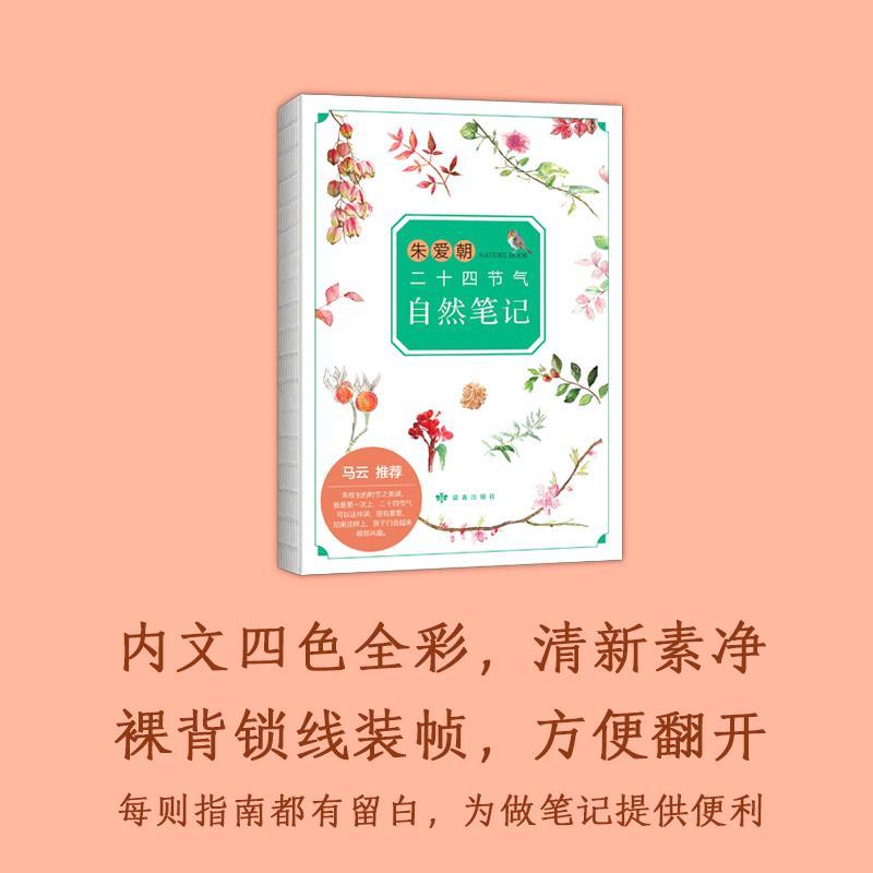 正版 朱爱朝二十四节气自然笔记 童书 儿童文学 中国儿童文学 传统文化 文学读物 朱爱朝 甘肃人民美术出版社_171