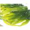 博多客 海带苗2斤 霞浦新鲜凉拌菜嫩海带芽海带薄嫩三秒火锅食材