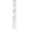 醉染图书认知工具:文化进化心理学(见识丛书51)9787521706000