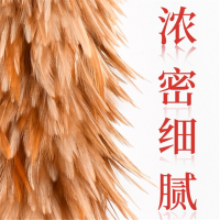 除尘掸 可伸缩家用车用真鸡毛掸子 可伸缩两米 单位:个