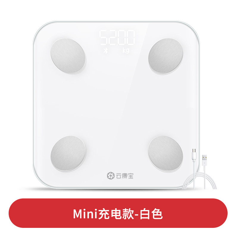 云康宝 (Yolanda) 智能体脂称CS20H-心率充电260*260*25mm