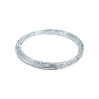 艾克心 镀锌铁丝 12号2.8mm 1kg约20米《单位：千克》