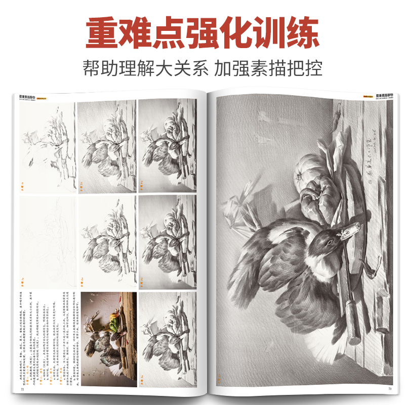 [醉染正版]蔡兼素描静物 2020几何体石膏像单体组合结构照片对画临摹范本基础入门教程美院经典顶配高联考全集一本通美术绘高清大图