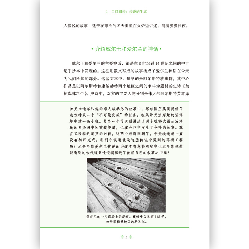 [正版] 凯尔特神话 魔兽世界指环王哈利波特故事背景设定神话入门读物民间故事历史传说书籍高清大图