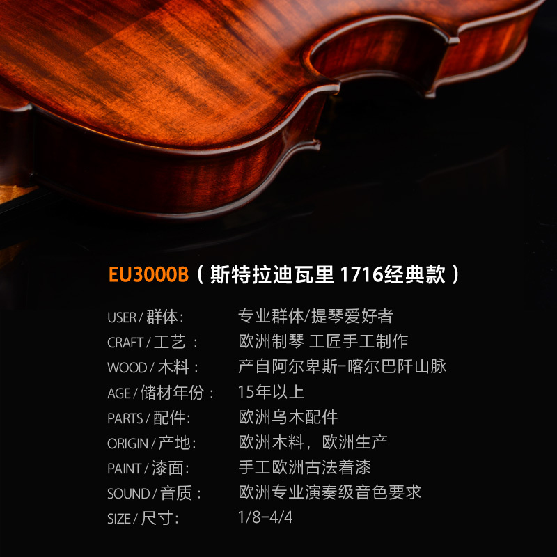 Christina克莉丝蒂娜EU3000B整琴欧洲制作原装进口小提琴手工专业演奏考级进阶成人学生初学乐器