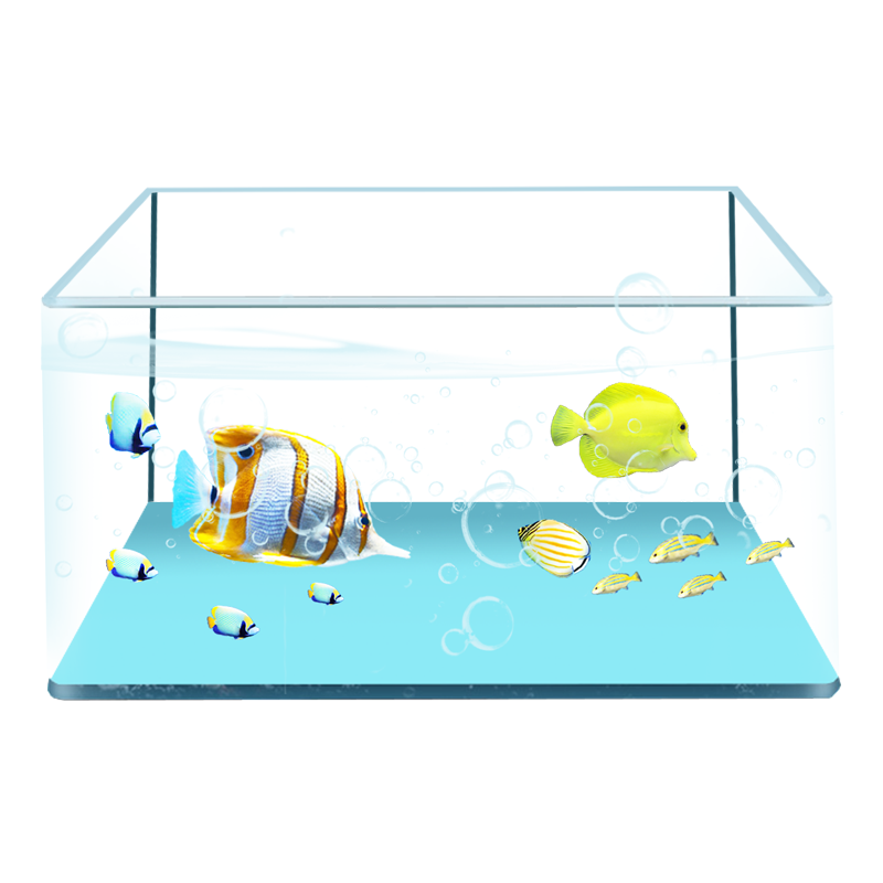 网红热弯玻璃小鱼缸家用水族长方形桌面客厅造景小型养金鱼水裸缸