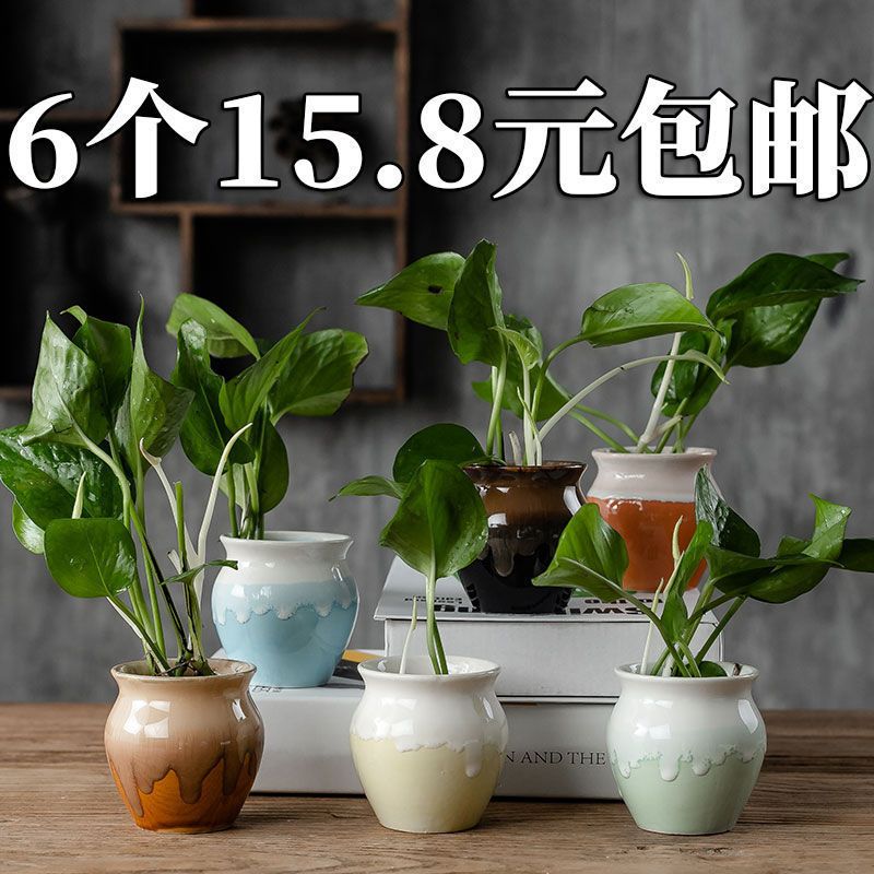 花盆陶瓷肉肉塑料创意室内绿萝多肉植物花盆小大号多肉花盆批发浅蓝彩手绘花盆随机2个中等报价 参数 图片 视频 怎么样 问答 苏宁易购