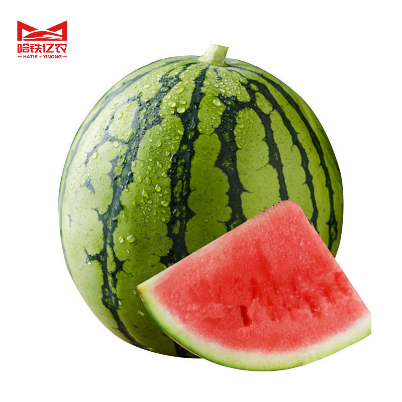 哈铁亿农 西瓜500g/斤高清大图