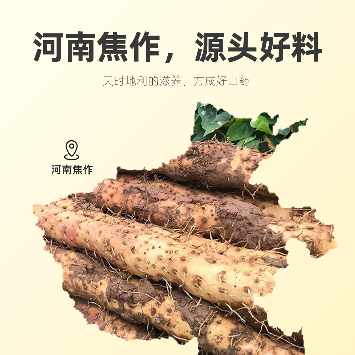 杞里香铁棍山药黑芝麻薄饼250g零食饼干营养代餐饼干早餐河南焦作高清大图