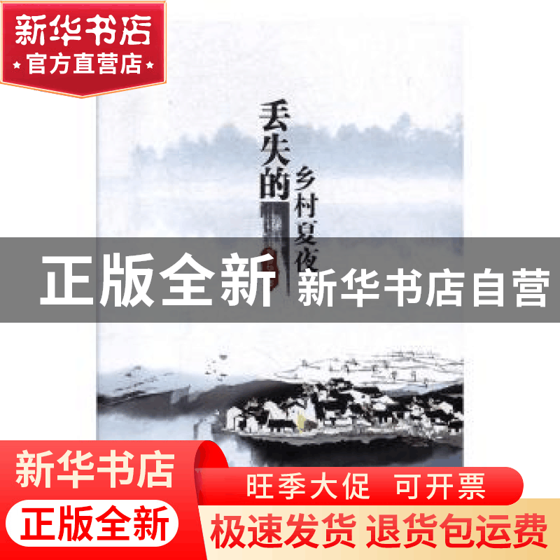 正版 丢失的乡村夏夜 向善华 德宏民族出版社 9787555811053 书籍图片