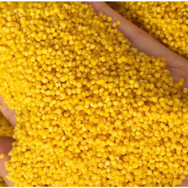 希礼盛山西沁州黄小米500g4