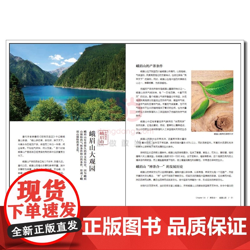 寻茶记-中国茶叶地理 13大产茶区 65款名茶制作工艺冲泡技巧 茶叶百科全书茶文化大全知识入门茶艺茶道茶经类书籍识茶泡高清大图