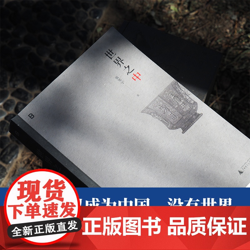 世界之中 把世界还给中国 9787559879530 北贝 广西师范大学出版社 张笑宇 著 2025-03高清大图