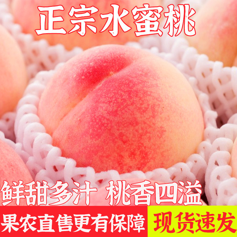 五个农民新鲜水蜜桃5斤带箱装(单果克重150g+)装现摘脆桃毛桃季新鲜现摘自营生鲜水果毛桃子孕妇应季油脆甜桃整箱
