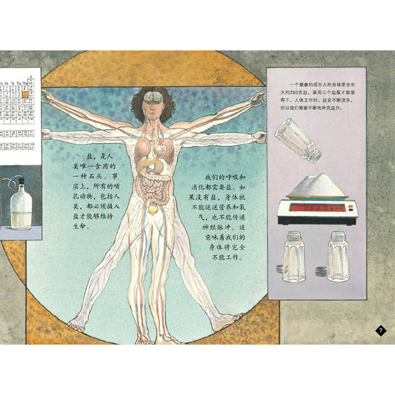 单本全册 [正版]盐的故事蒲蒲兰硬壳精装图画书为孩子全面普及盐的知识、盐的历史和盐的文明!适合6岁以上童书高清大图