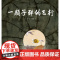 中少阳光图书馆 一颗子弹的飞行