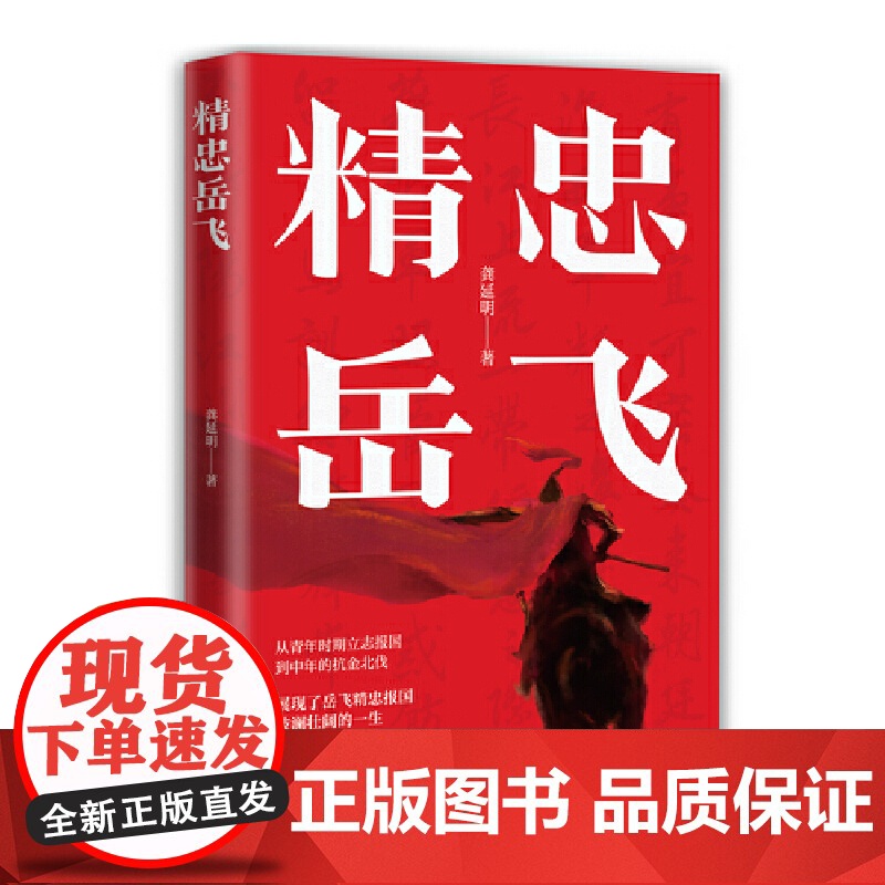 精忠岳飞