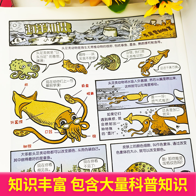 海绵宝宝漫画书2:超能海战队,出击 [正版]海绵宝宝漫画书全3册 海底爆笑故事集 超能海战队出击 奇异故事集 海绵宝宝故