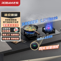 老板(Robam)烟灶套装[小黑翼D1P] 26m³防干烧灶 烟灶套餐27A15-D1P+51B0A(天然气)