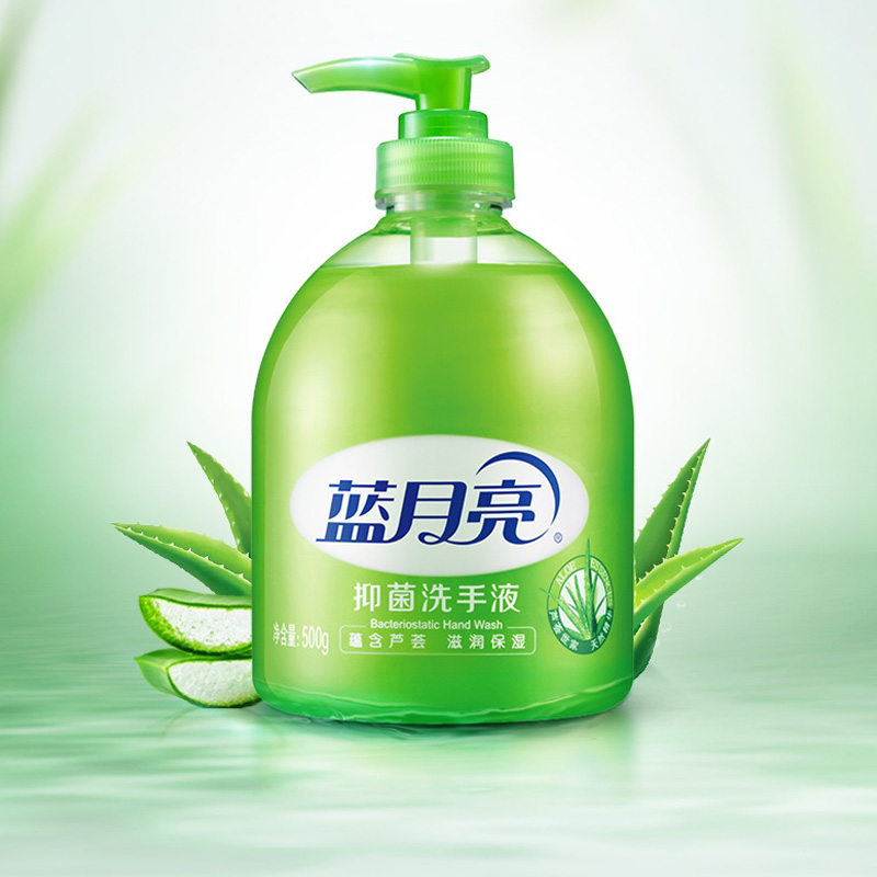 蓝月亮洗手液500g*12瓶滋润保湿芦荟抑菌整箱装80000581高清大图