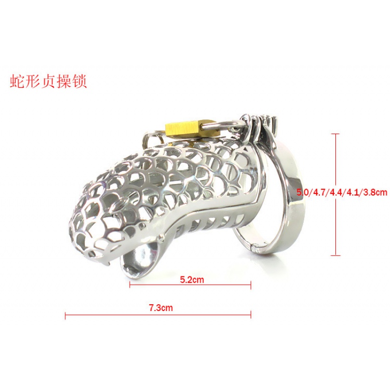 器男用不锈钢贞锁茎锁情趣用品性工具另类成人用品激情环 整套配卡款5.0cm高清大图
