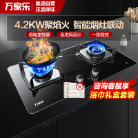 万家乐KV022SB猛火燃气灶具家用液化气4.2KW双灶台式嵌入式烟灶联动