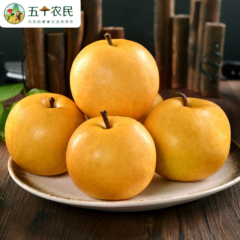 [五个农民]正宗山东秋月梨一级大果4-6枚装精品5斤装送礼佳品