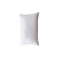 扬正通 枕头 YZT002 个