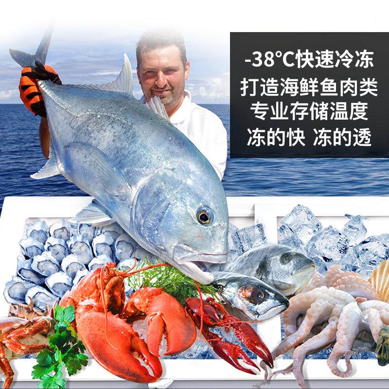 海尔冰柜大容量 零下38度低温冰柜 商用单温大冷柜 716升《深冷速冻-38℃~10℃六档可调》