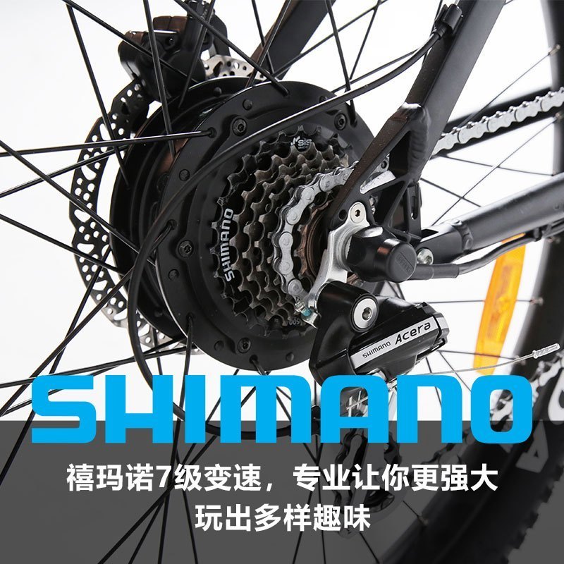 永久飞鹰iE2电踏车36v锂电池助力车电动自行车成人脚踏越野自行车电动