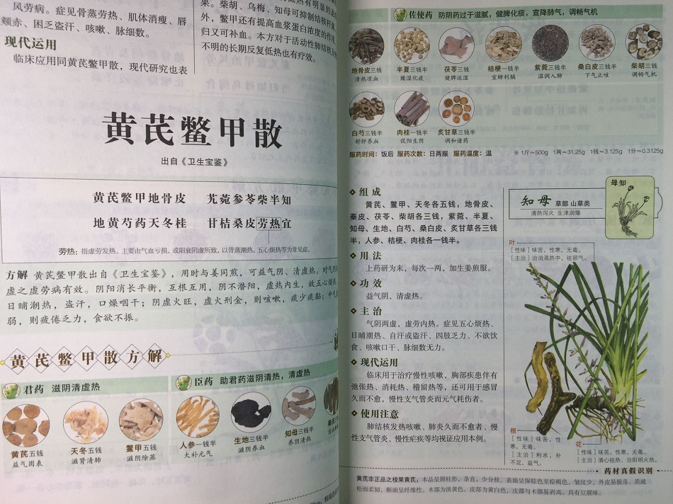 [醉染正版]图解汤头歌诀白话全彩典藏版全集中草药传统妙方中医方剂学解读方解主治彩图详解大厚本家庭保健正版江苏凤凰科学高清大图