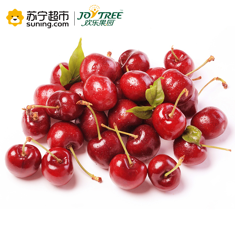 欢乐果园 加拿大进口车厘子 1磅装(约450g) 果径约26-28mm 新鲜水果